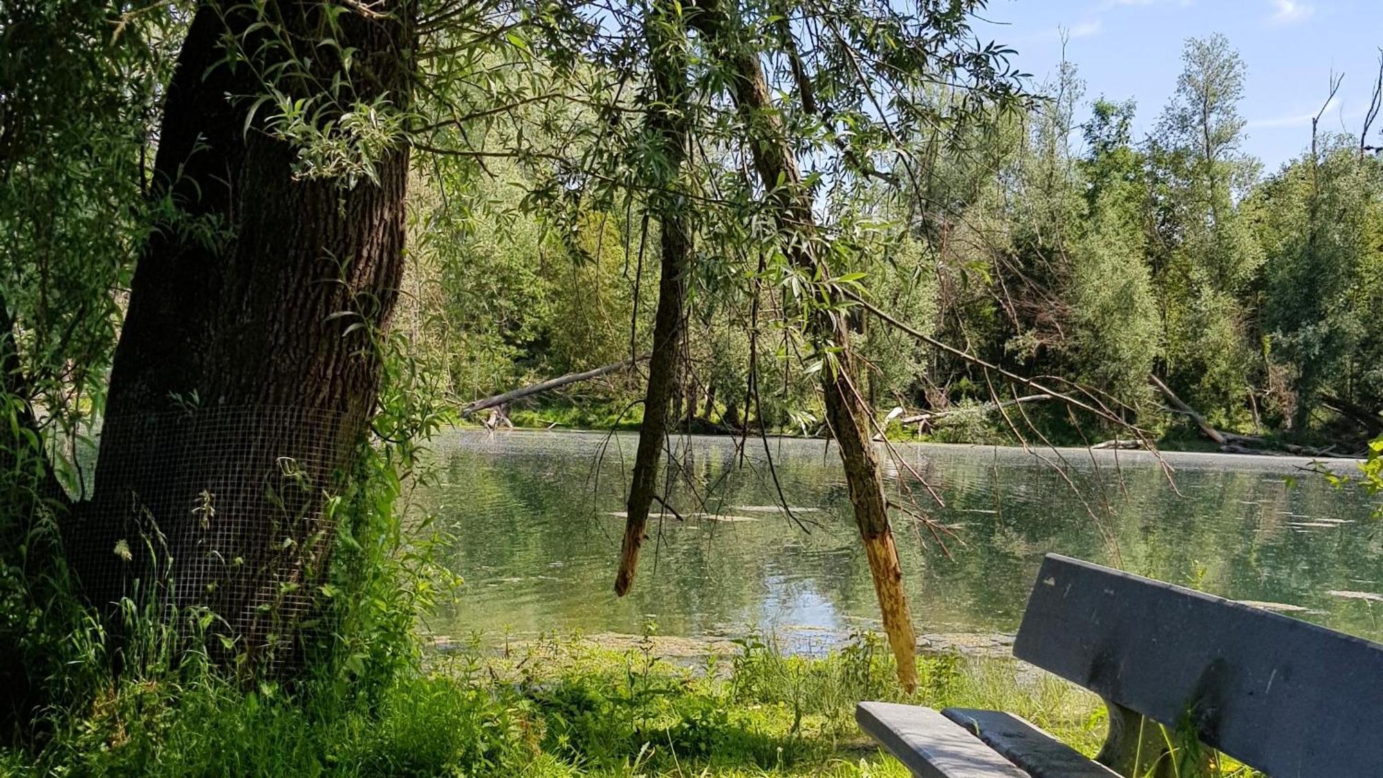 Guesthouse De Wissen Dilsen-Stokkem Exteriér fotografie